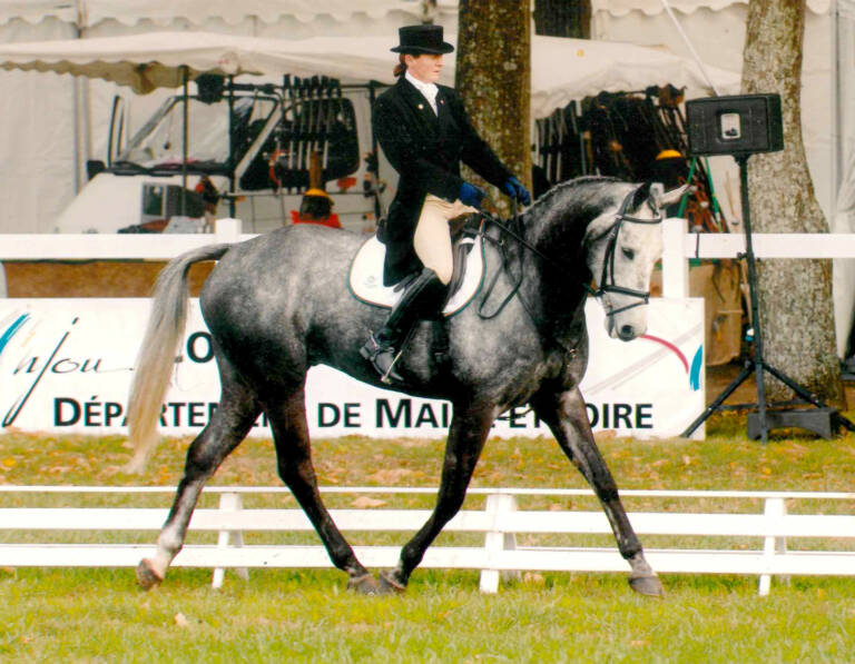 Le Lion d'Angers 2005